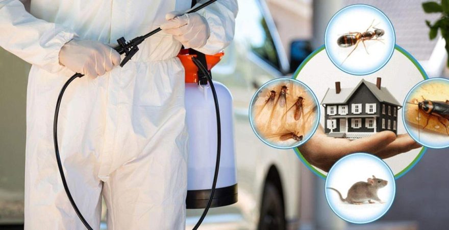 Menemen Böcek İlaçlama