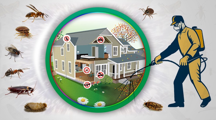 Menemen Böcek İlaçlama