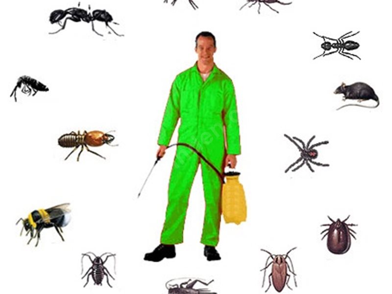 Menemen Böcek İlaçlama